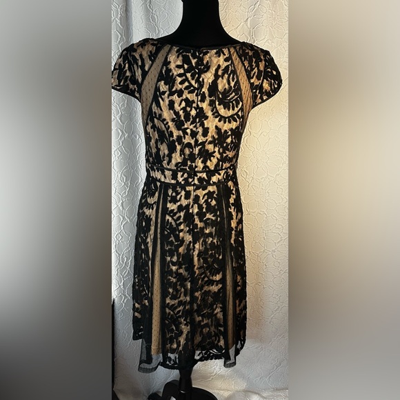 COPY - ADRIANNA PAPELL- Black Lace Party Dress SIZE 8 - Picture 11 of 16